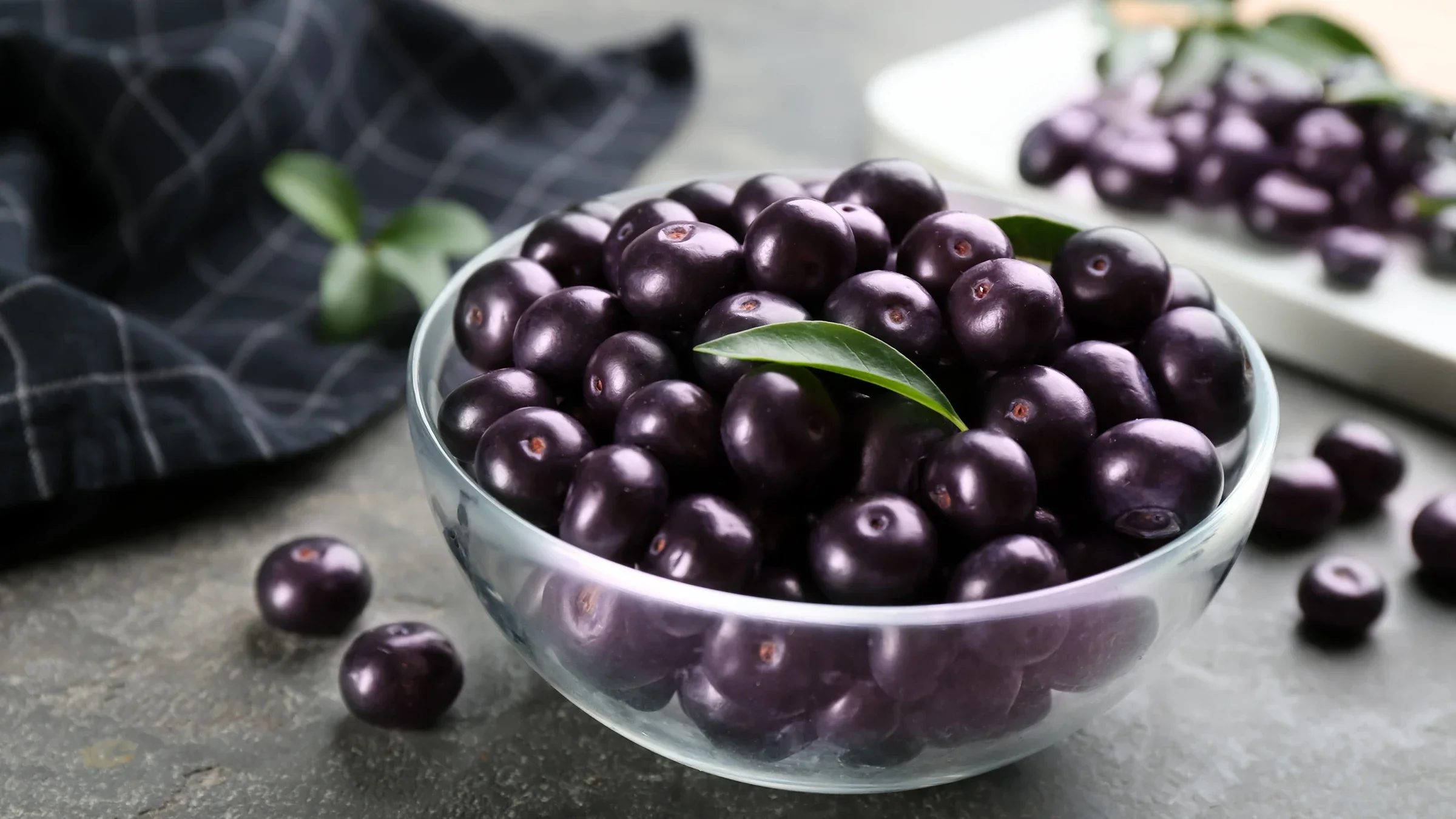 Fresh acai berries in a glass bowl on a grey table.
Liudmila Chernetska/iStock via Getty Images Plus     
