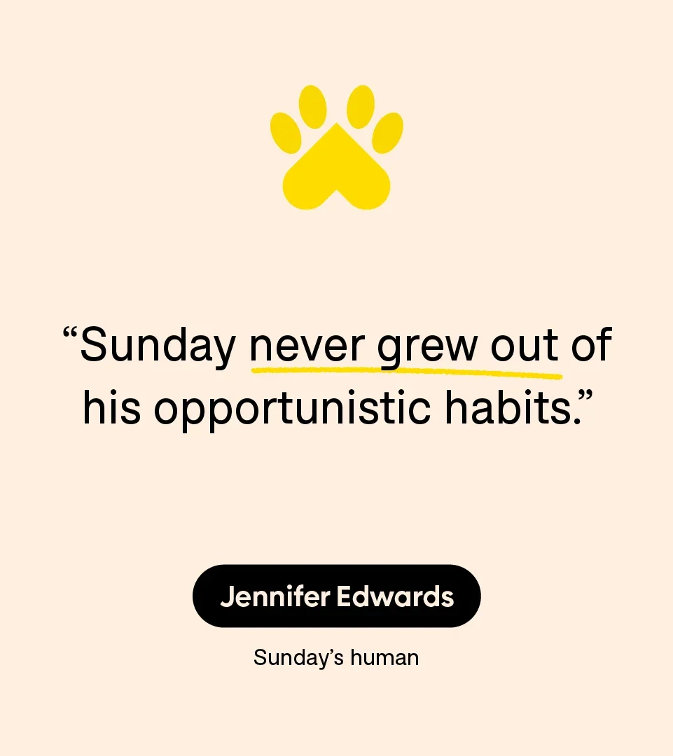 Patient Experience: Dog: Jennifer Edwards: Quote