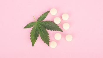 dronabinol: cannabis leaf and pills 1199045166