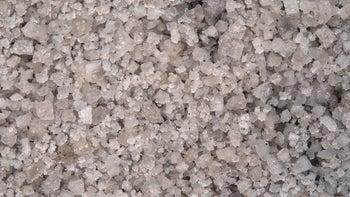 diet nutrition: closeup celtic salt 501713261
