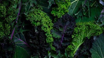 Warfarin: leafy green veggies 1355142774