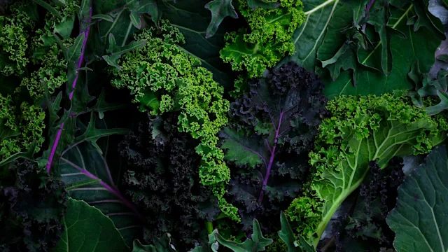 Warfarin: leafy green veggies 1355142774