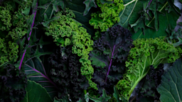 Leafy green vegetables.
Tetiana Kolubai/iStock via Getty Images Plus
