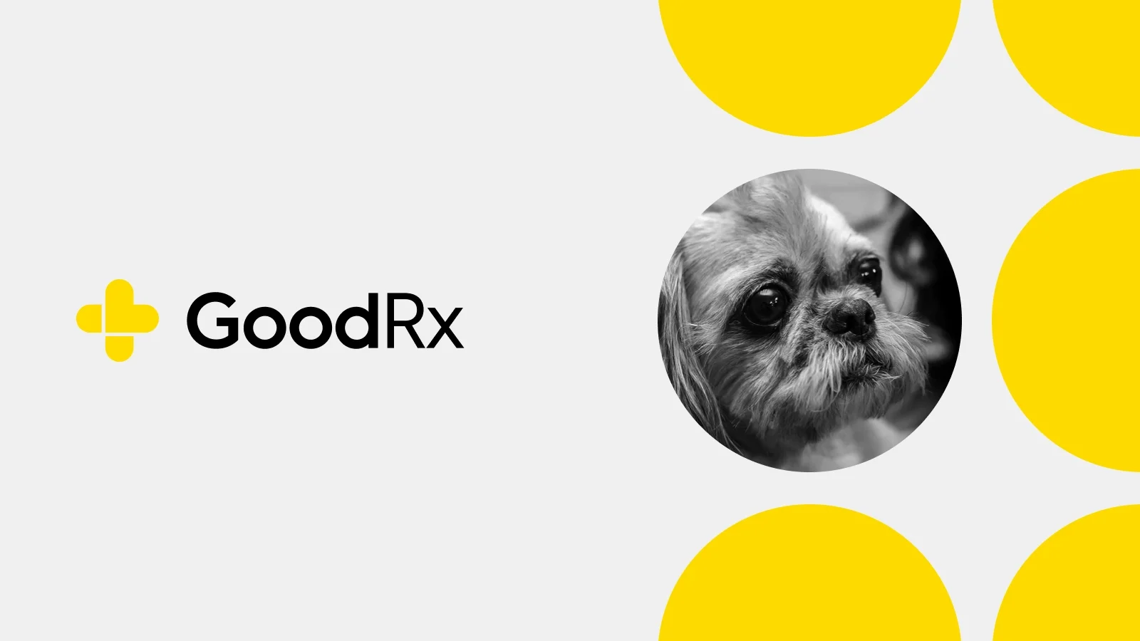 GoodRx logo and portrait of Ninja the dog