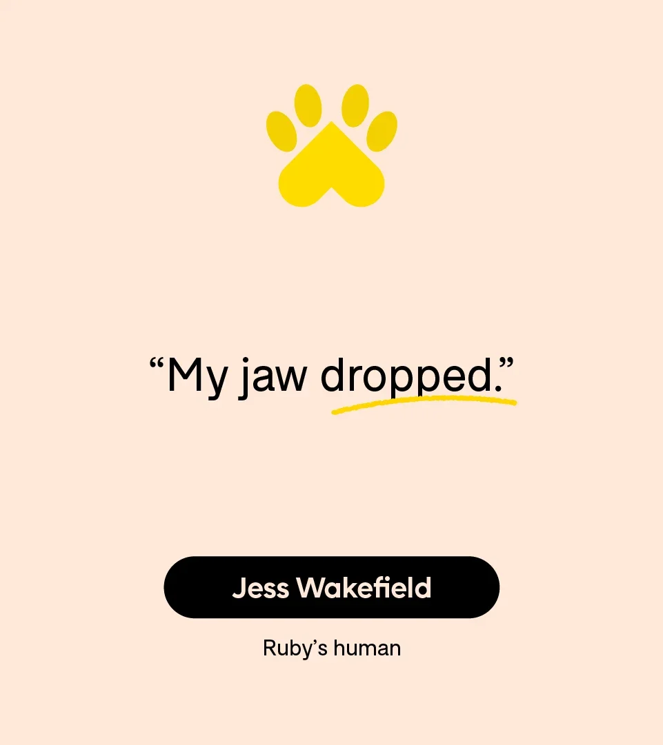 “My jaw dropped.” — Jess Wakefield, Ruby’s human