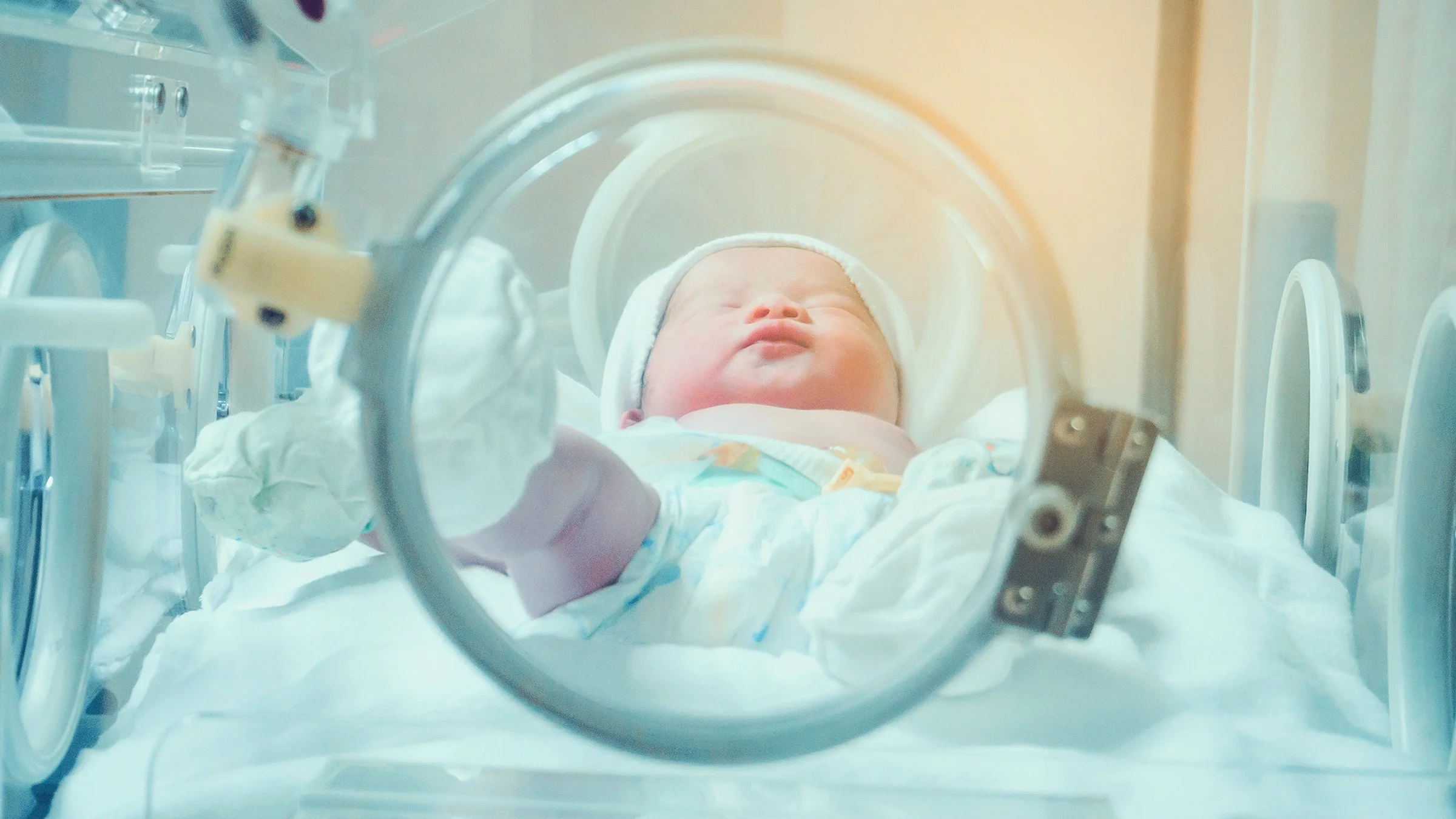 A newborn baby sleeping in an incubator.
