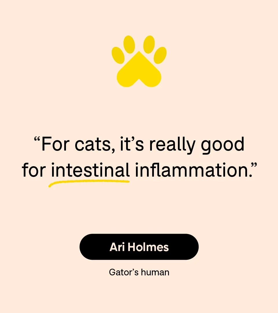 “For cats, it’s really good for intestinal inflammation.” — Ari Holmes