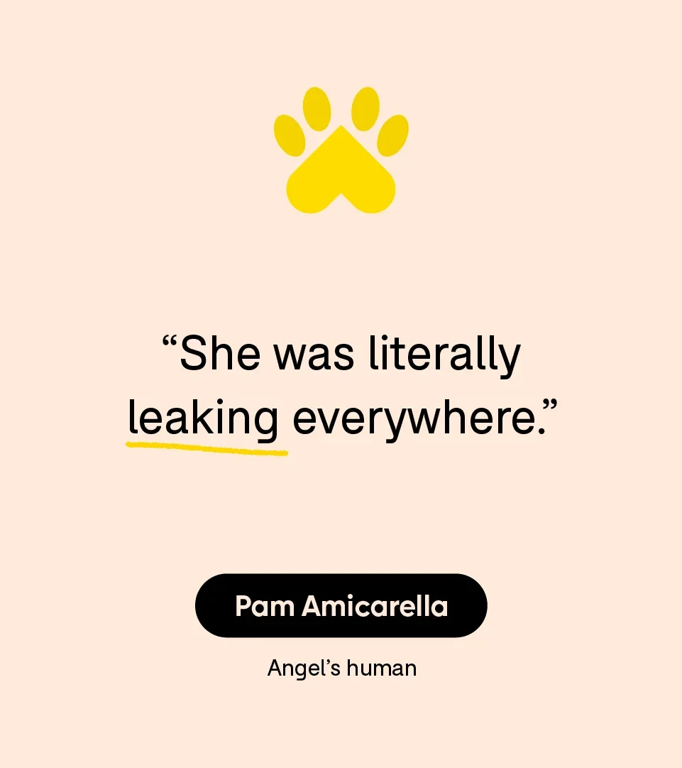 “She was literally leaking everywhere.” — Pam Amicarella