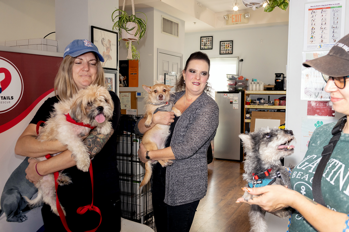 A group of people are holding dogs in a bright room at an animal rescue center, with Nicole delaRosa in the center, smiling and holding a small tan dog.