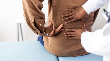 Health: Musculoskeletal: low back exam-1405986139