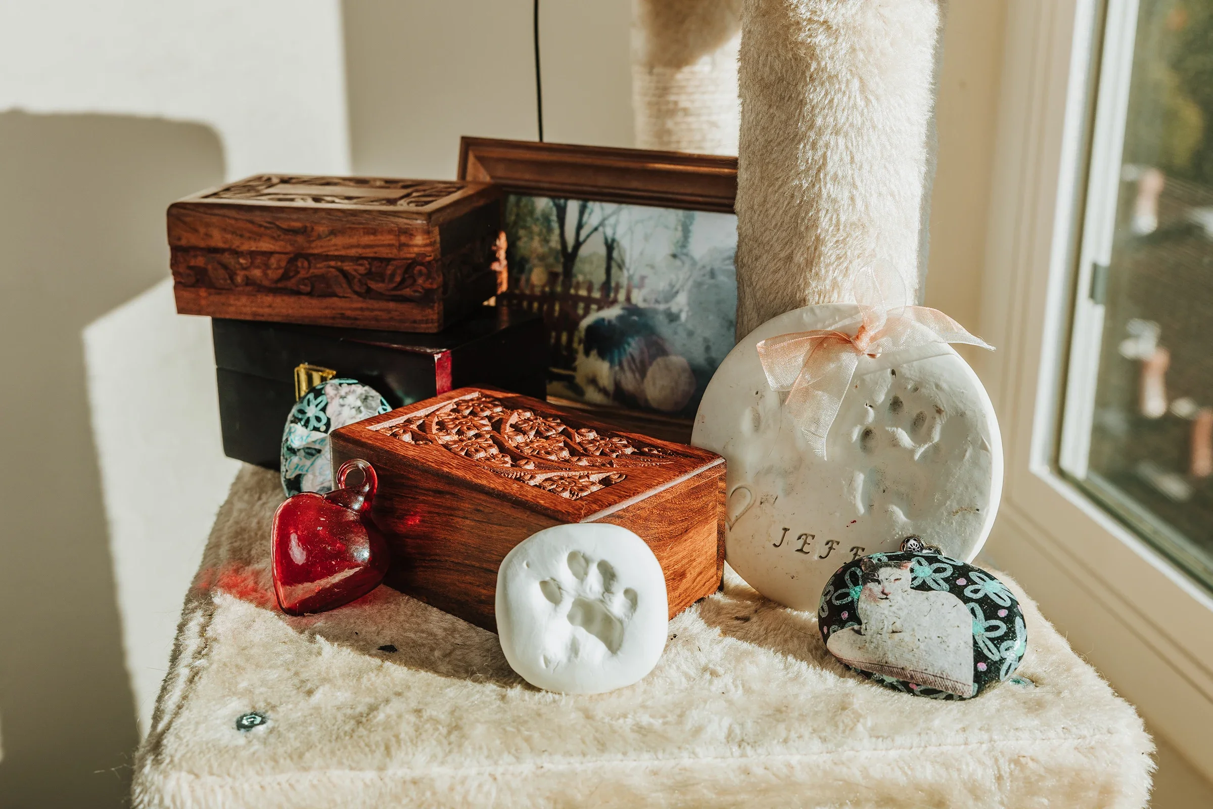 A photo shows a collection of pet memorial items, including paw prints, decorative boxes, and framed photos.