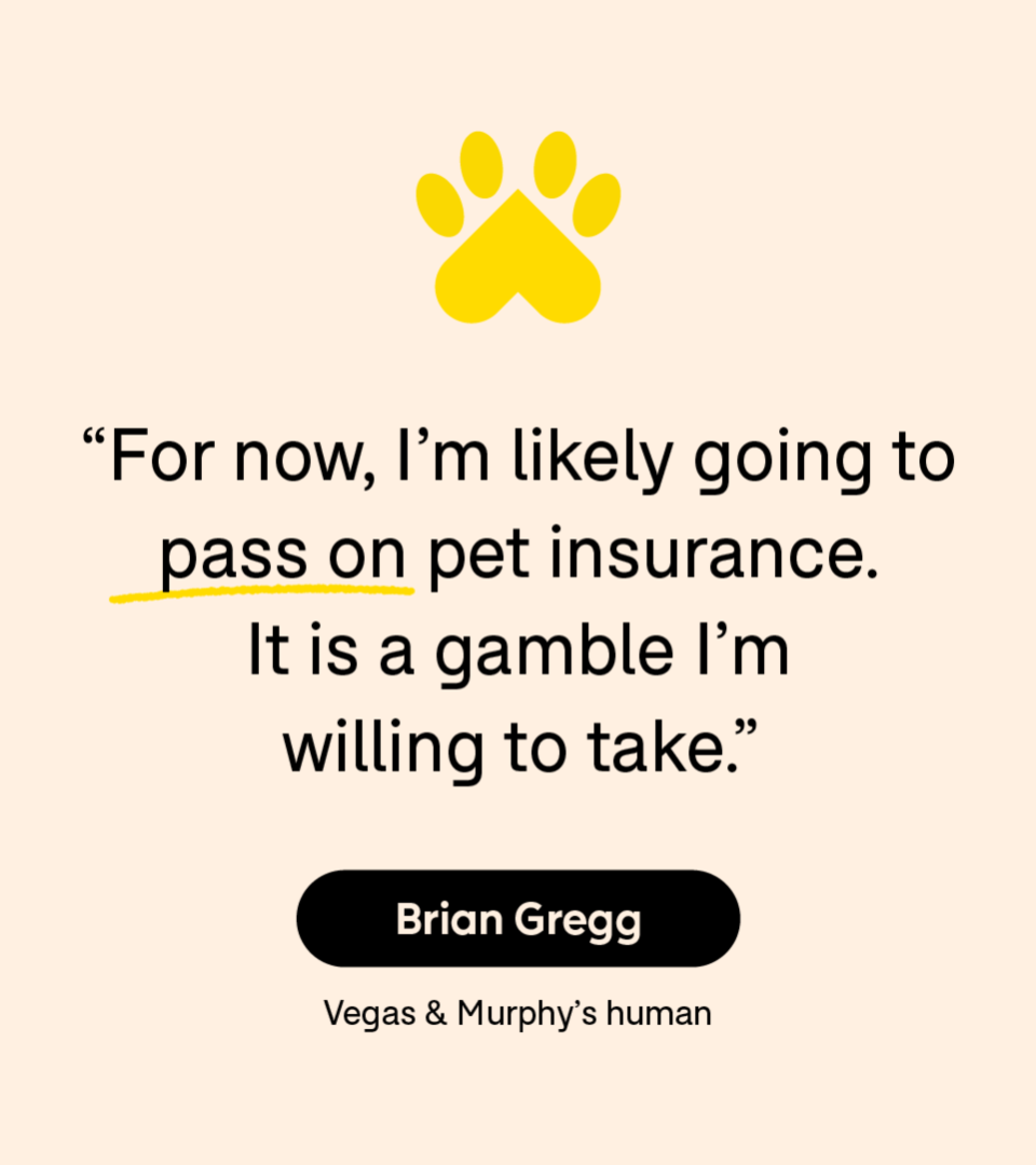 “For now, I’m likely going to pass on pet insurance. It is a gamble I’m willing to take.” — Brian Gregg