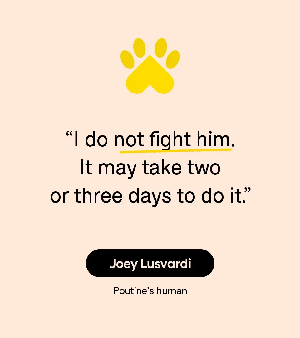 “I do not fight him. It may take two or three days to do it.” — Joey Lusvardi with Poutine