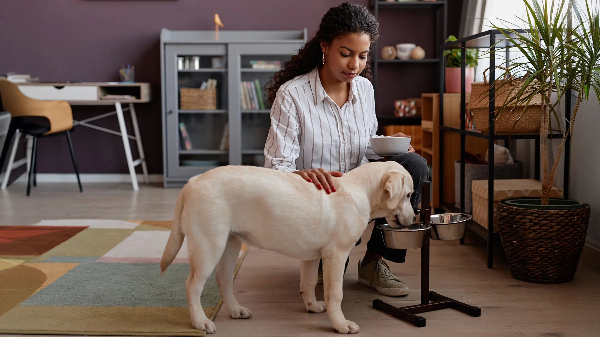 An owner feeds her dog at home.