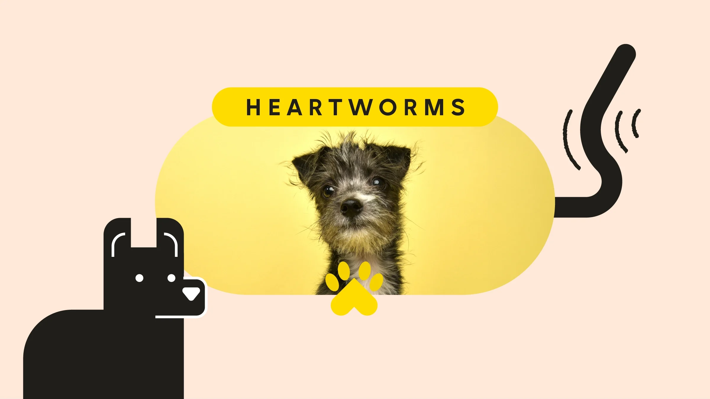 Tan background with oval cropped image of a scruffy black dog in the center. The text on top reads: “Heartworms.” In the left corner is an illustration of a black dog. On the right side of the cropped photo is an illustrated black tail wagging.