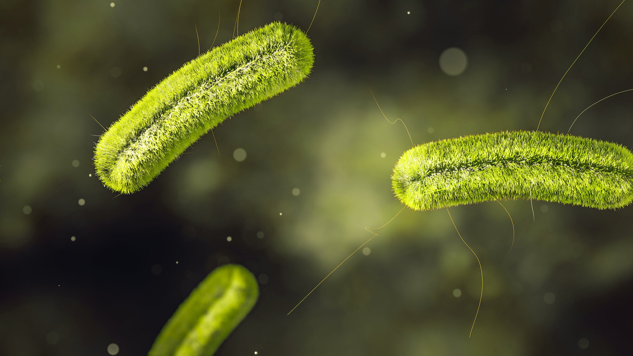 microscopic image of listeria green-1225971187