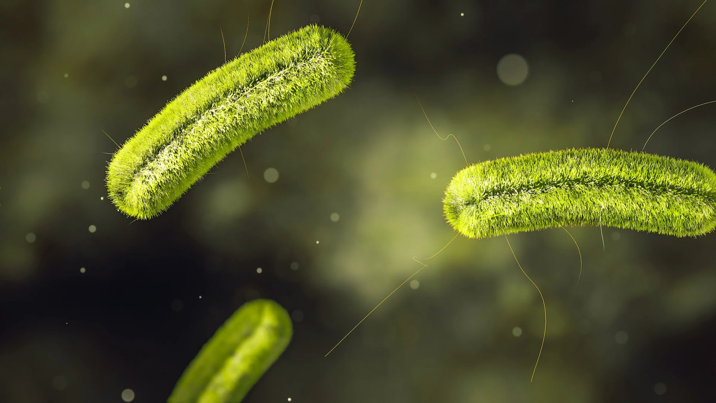 Microscopic image of listeria on textured background. The organisms are green and fluffy looking.