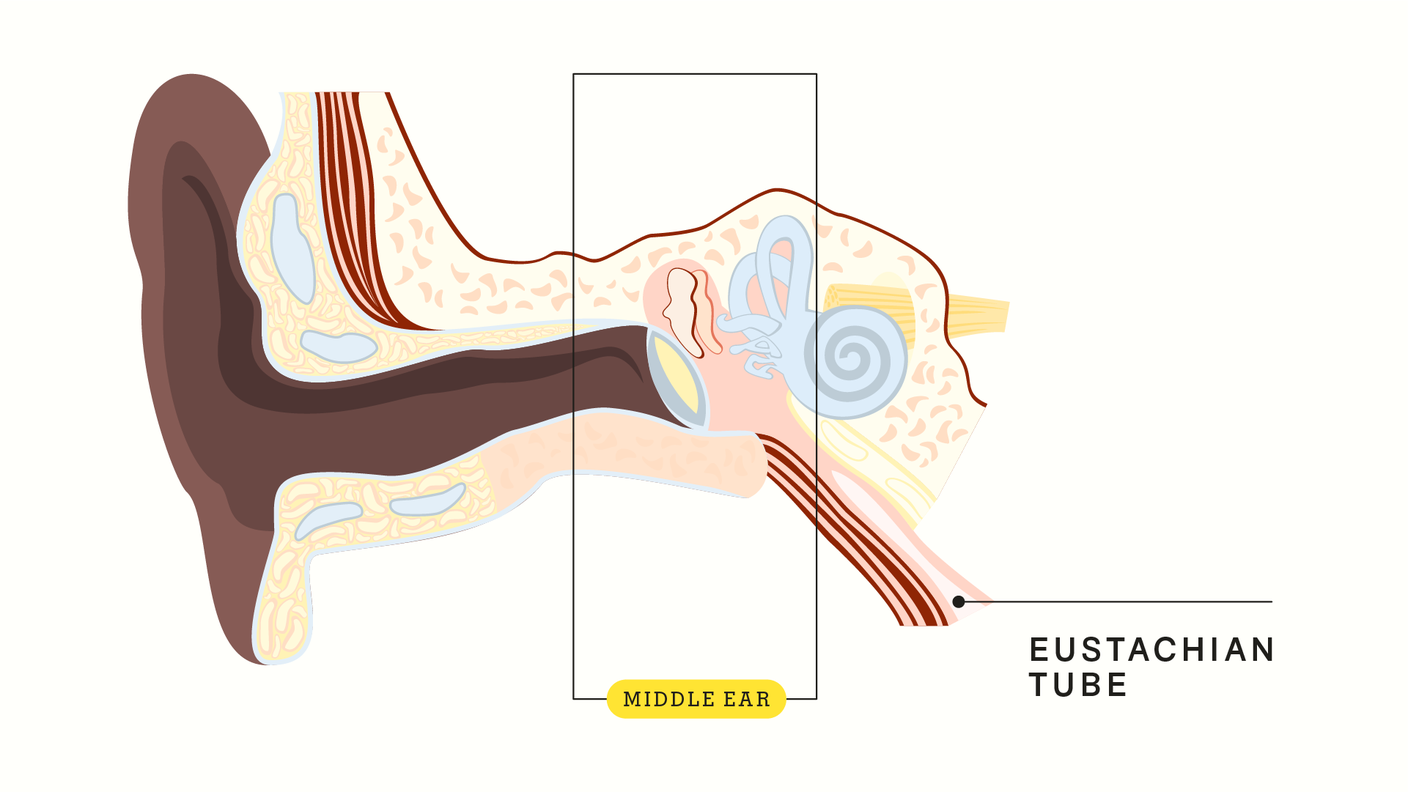 10 Common Reasons Your Ears Feel Clogged GoodRx