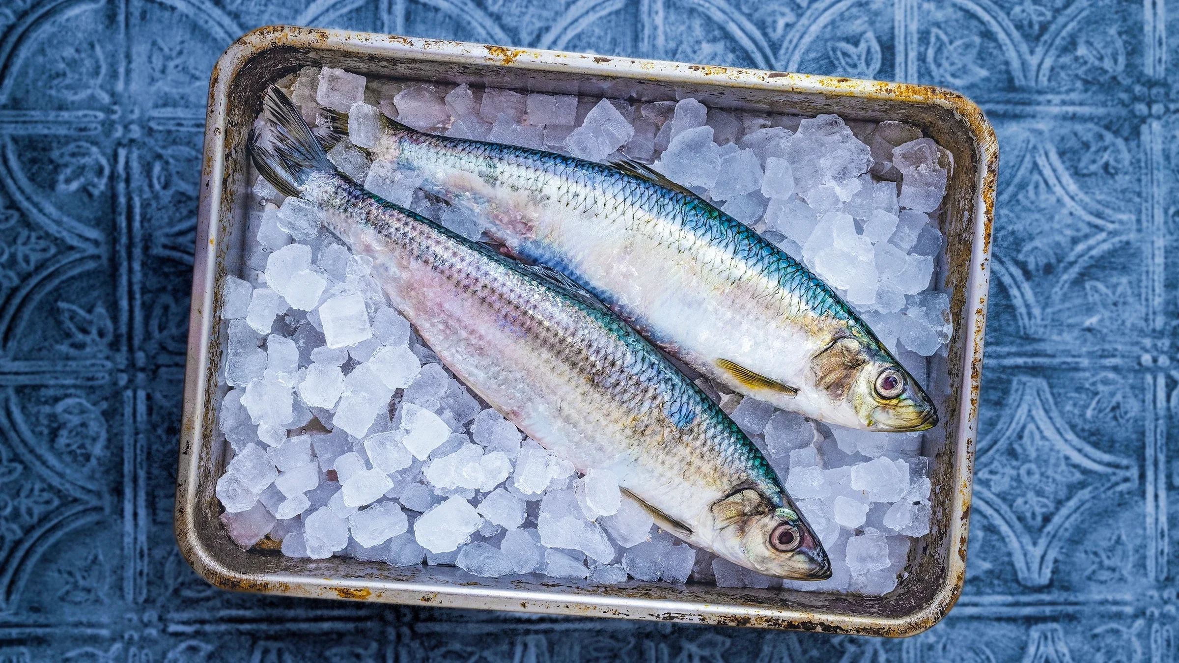 Fresh herring fish on ice