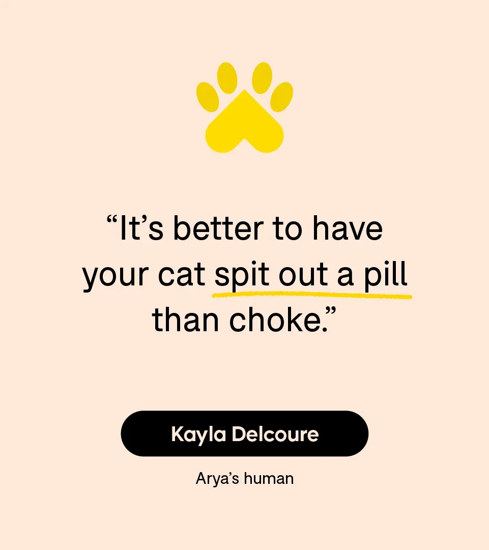 “It’s better to have your cat spit out a pill than choke.” — Kayla Delcoure (Photo by Lynsey Weatherspoon)