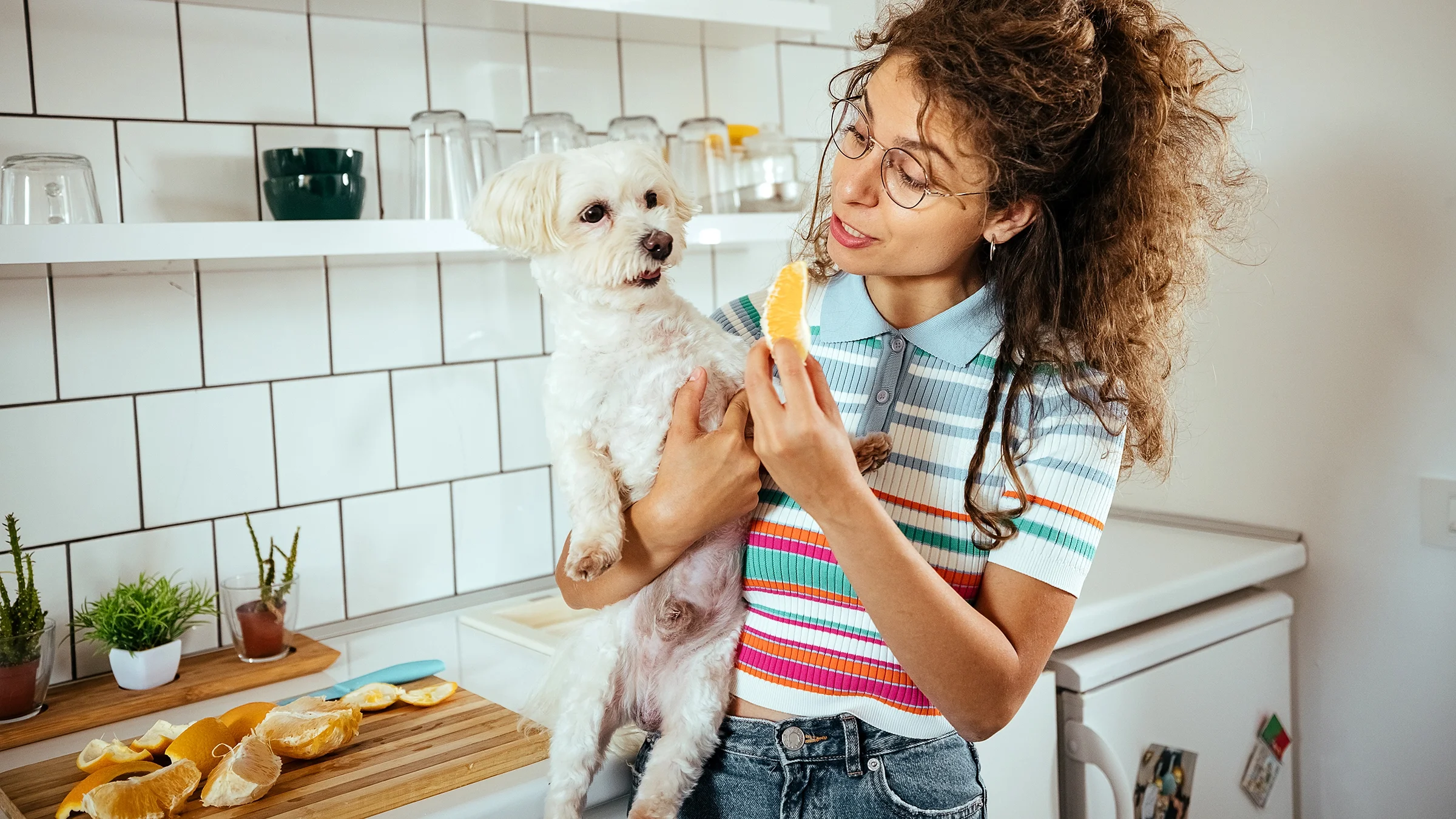 A woman feeds a dog an orange slice.