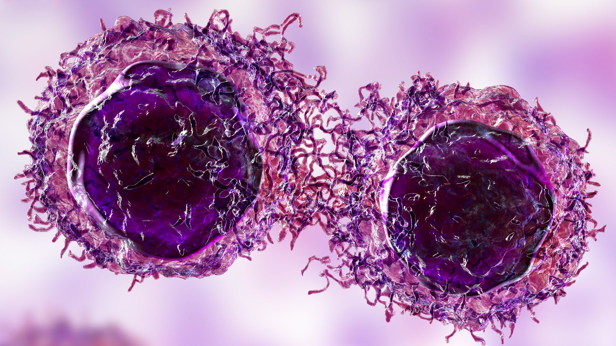 Cancer: Cells: cancer cells 3D illustration 1362510389