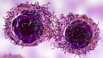 Cancer: Cells: cancer cells 3D illustration 1362510389