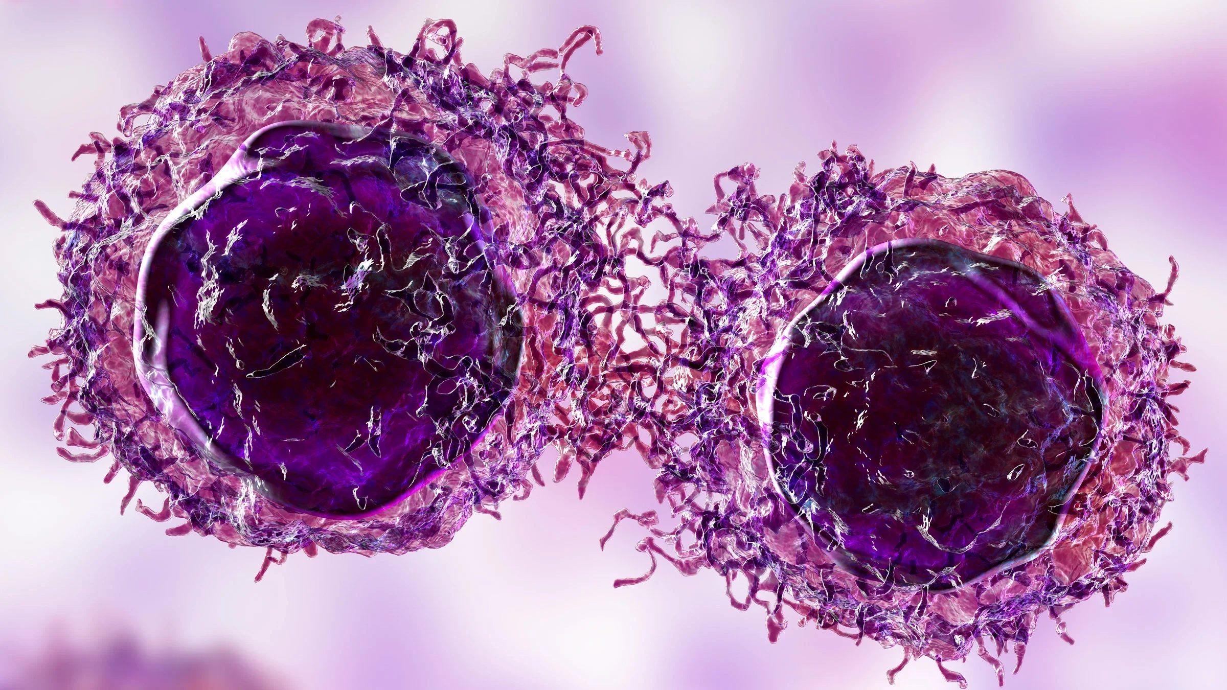 Cancer: Cells: cancer cells 3D illustration 1362510389