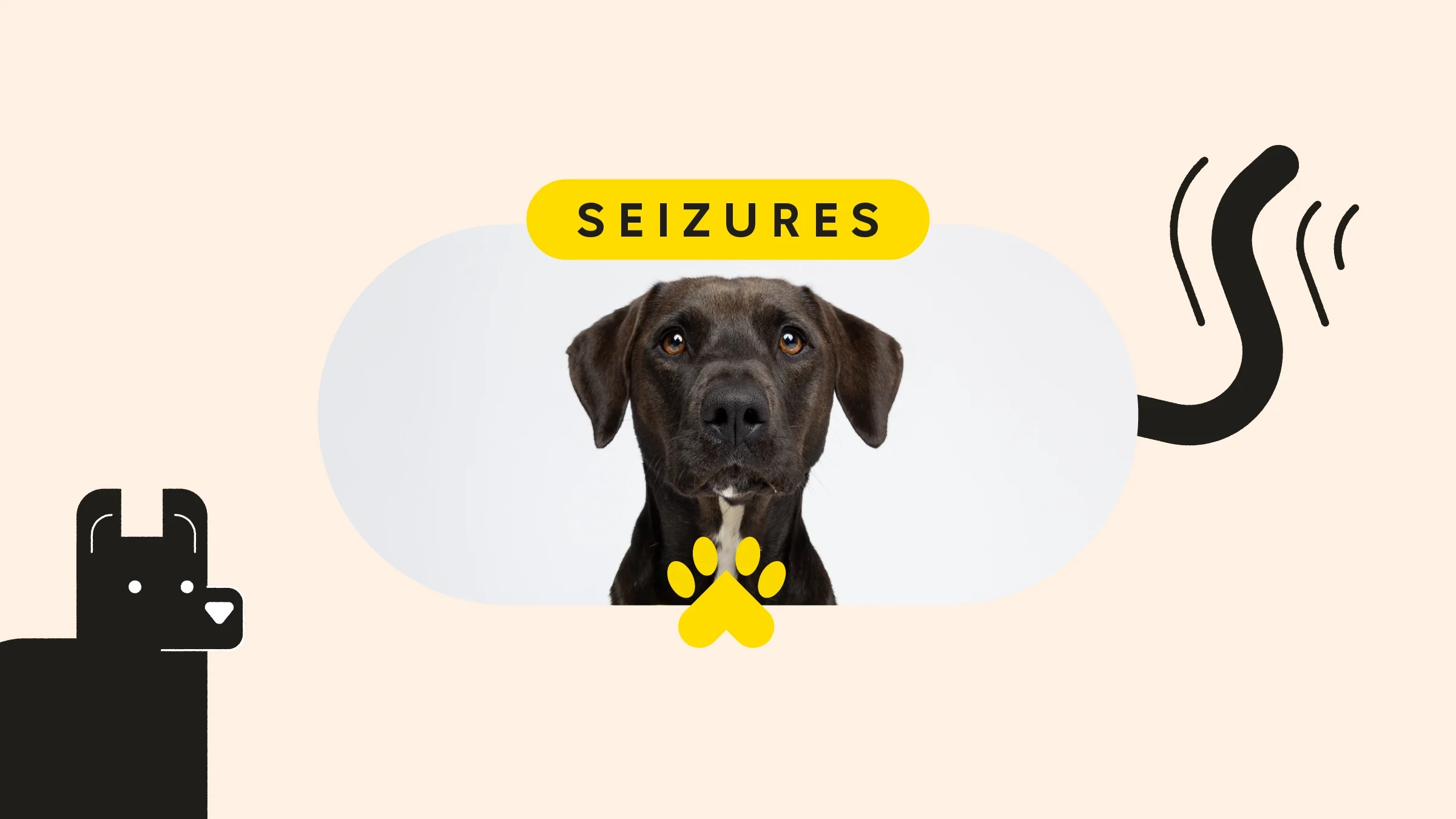 A custom graphic features a portrait of a black dog in the center, with “Seizures” written above the photo and dog-related doodles on both sides.