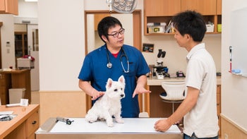 Pet health: Myths: vet talking to owner 859929290