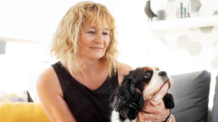 Picture of a Cavalier King Charles spaniel sitting at home with its owner.