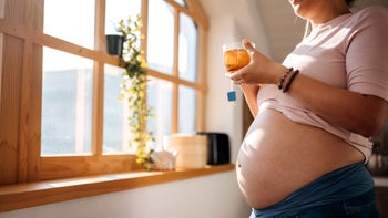 Pregnancy: Caffeine: pregnant person tea by the window-1322676176