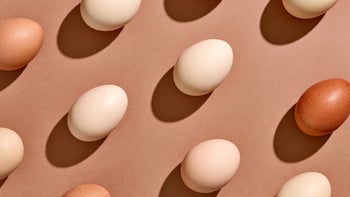 diet-nutrition: eggs: various eggs tan background 1309094431