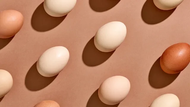 diet-nutrition: eggs: various eggs tan background 1309094431