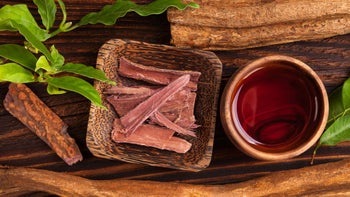 Mental health: ayahuasca brew 955256090