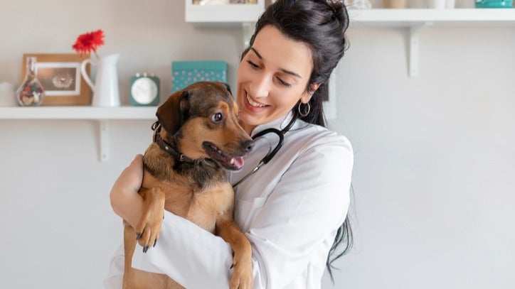 over the counter ringworm treatment for dogs