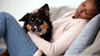 Health: Dog: woman lays with dog on sofa 1359344672
