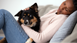 A woman is petting her dog while laying on the sofa.
RuslanDashinsky/E+ via Getty Images