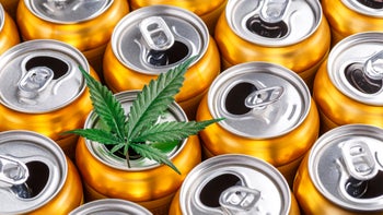 Substance use: cannabis leaf on top of cans 1344927569