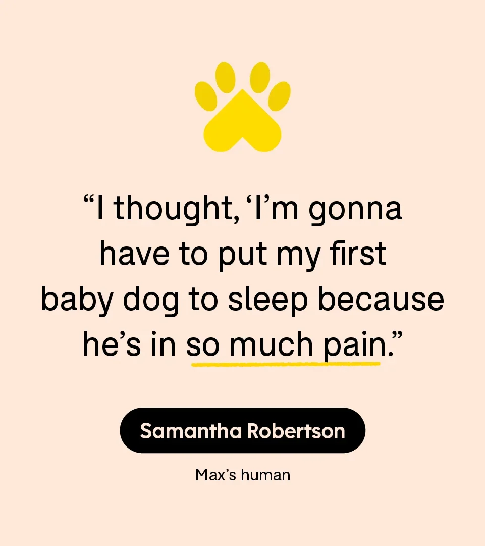 “I thought, ‘I’m gonna have to put my first baby dog to sleep because he’s in so much pain.’” — Samantha Robertson, Max’s human