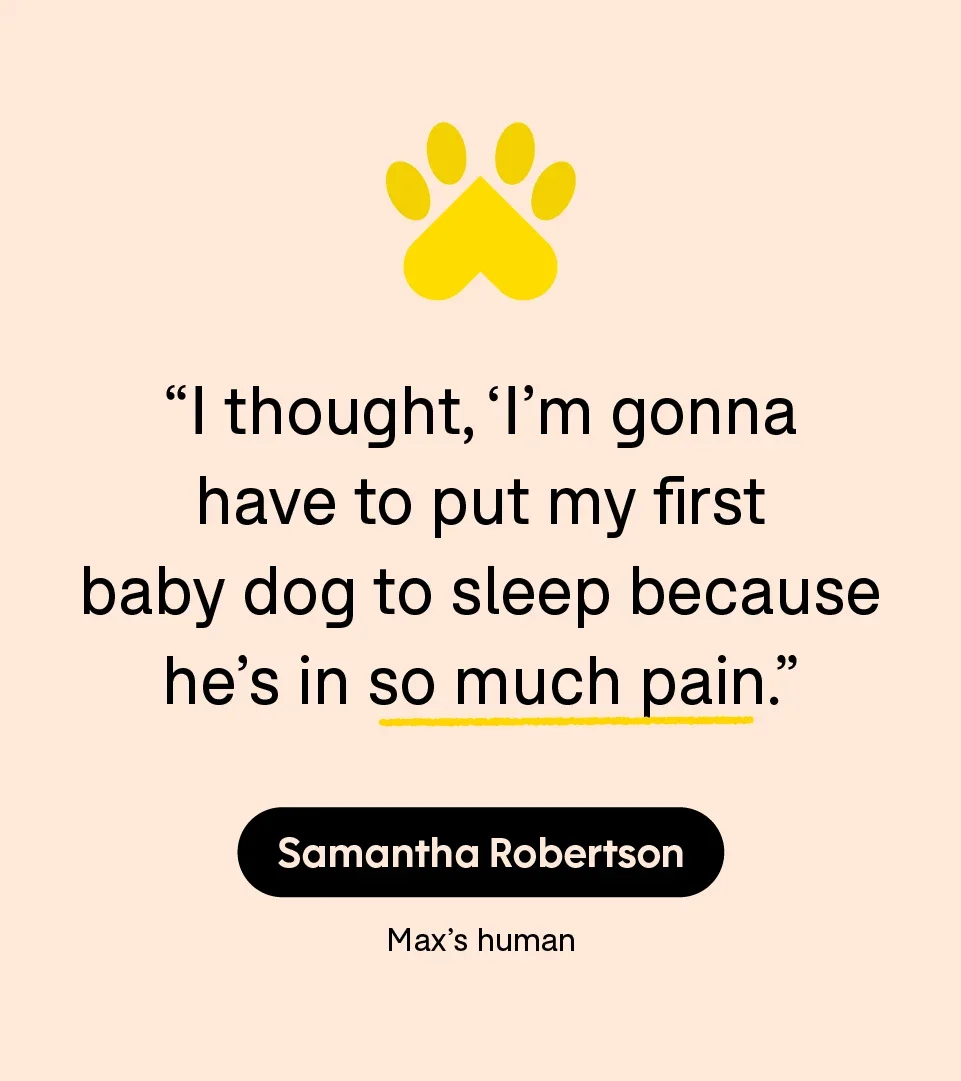 “I thought, ‘I’m gonna have to put my first baby dog to sleep because he’s in so much pain.’” — Samantha Robertson, Max’s human