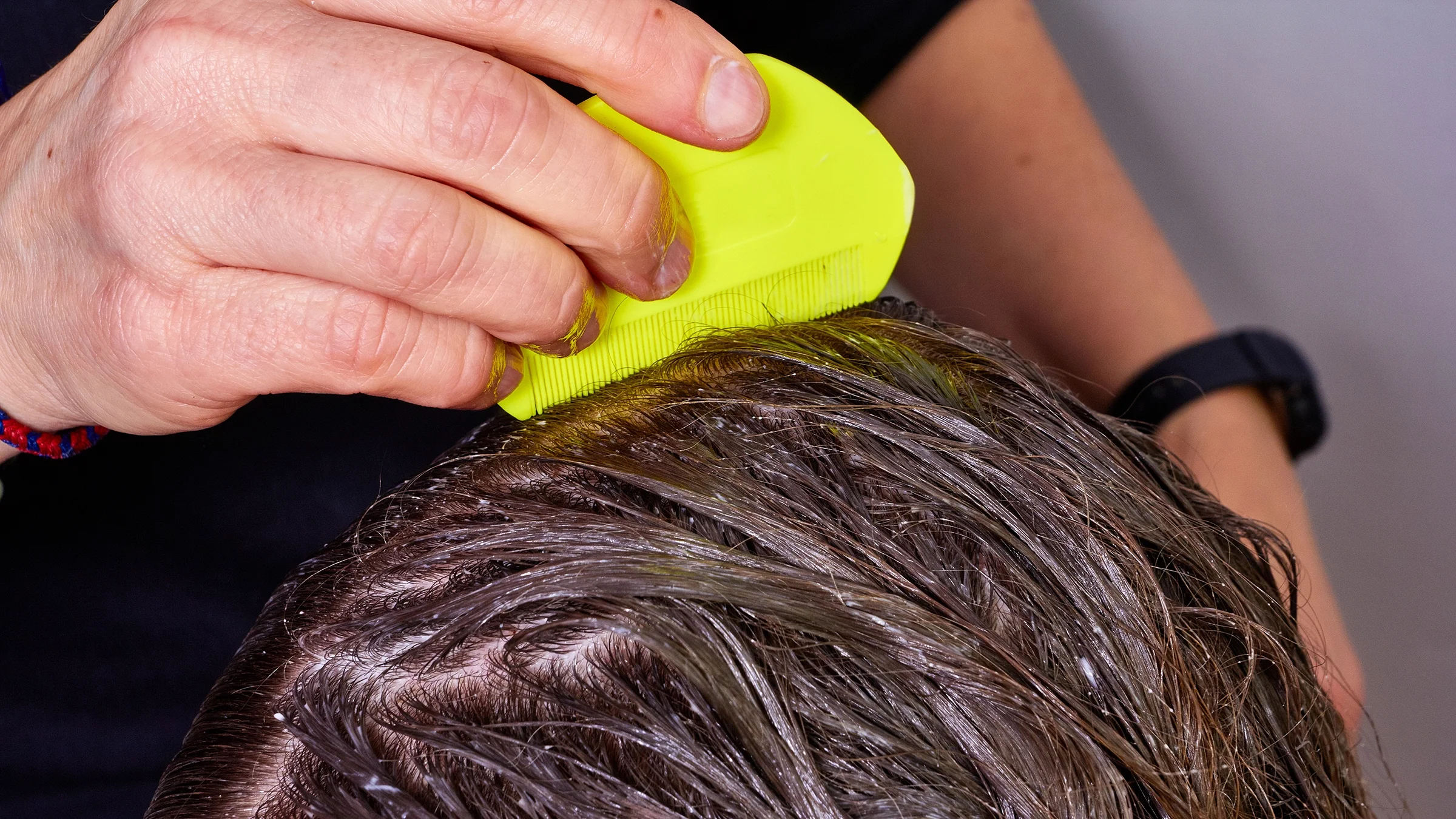 Close-up checking wet hair for lice