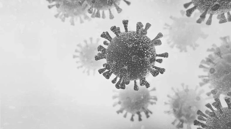 Black and white image of microscopic virus molecules.
LeArchitecto/iStock via Getty Images