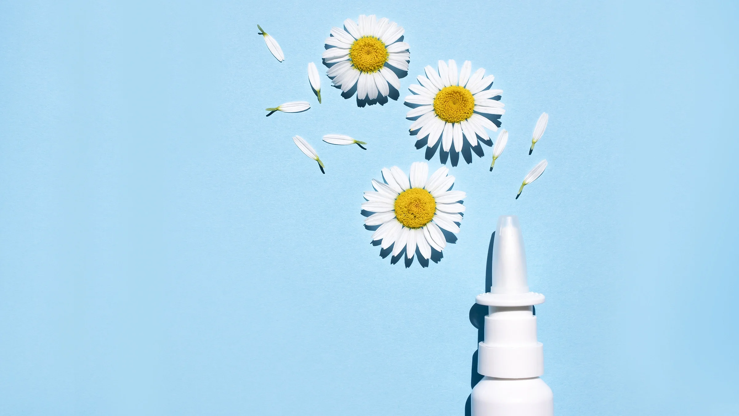 Seasonal allergies concept of nasal spray with flowers on a blue background.
