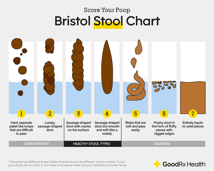 Bristol Stool Chart The 7 Different Types of Poop GoodRx