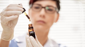 HCP: CBD: doctor looking at CBD oil-1212980443