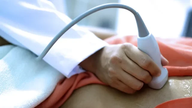 Heart: closeup echocardiogram 1413257603
