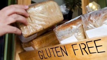 Diet nutrition: gluten free bread 478892144