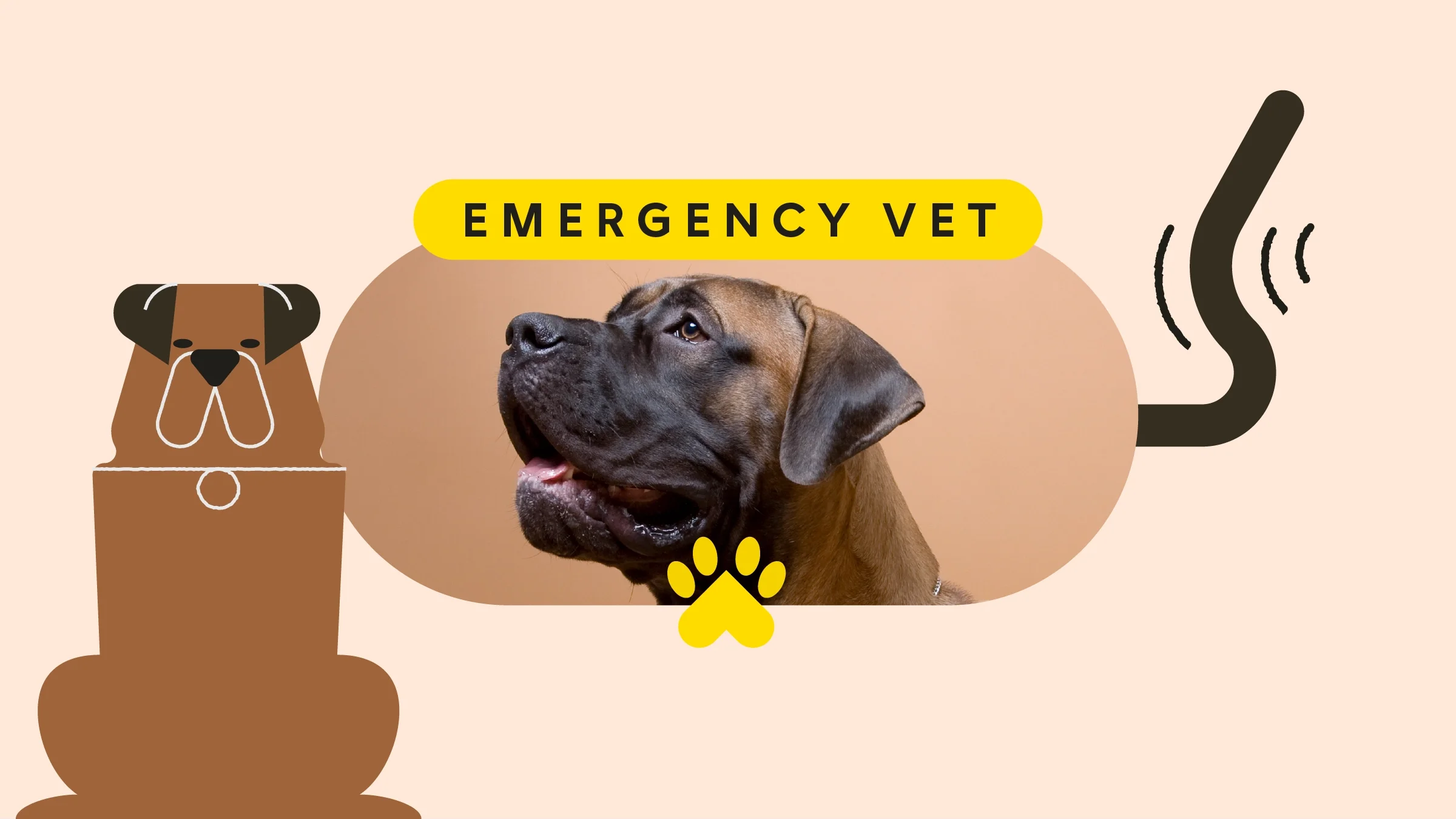 Tan background with oval-framed image of a mastiff dog on a brown studio background. On the bottom left is an illustration of a mastiff. On the right is an illustration of a brown wagging tail.