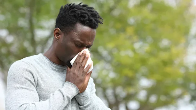 Mucinex vs. Benadryl: Which Works Better for Allergies?